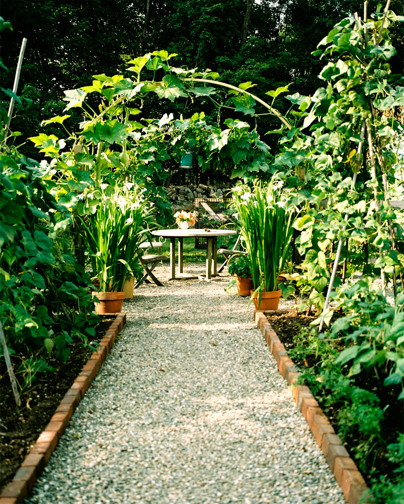 Садовые кашпо: 5 полезных советов для озеленения вашего двора