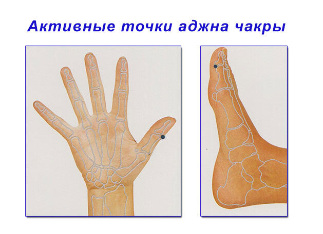 Рекомендуем: точки наносить синим (не перманентным) маркером и втирать его до полного усвоения организмом. Использование маркеров других цветов - на ваш страх и риск Желательно приобретать маркеры одобренные Ярким Советом Астральных Мудрецов (Я САМ).