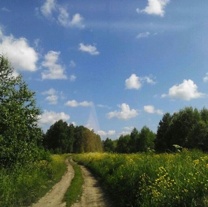 Место откуда я приехала