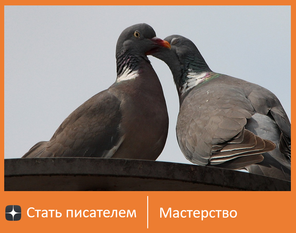 Флирт на грани видимости, не стоит переходить на комплименты в лоб / источник фото: https://pixabay.com/images/id-413073/