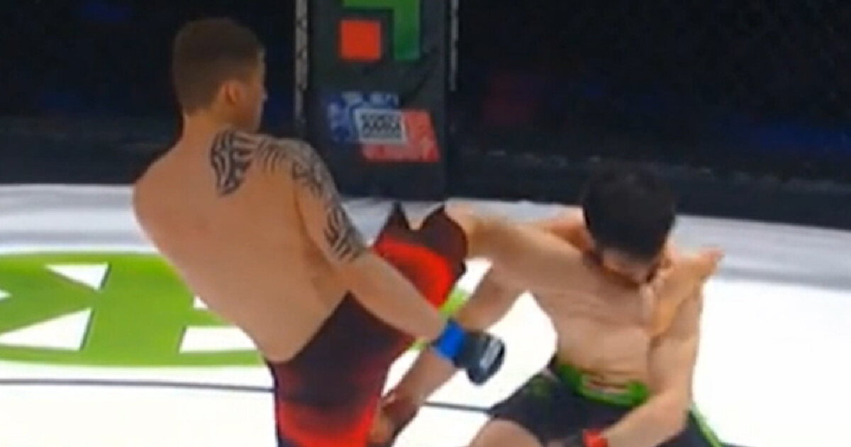 зеленский ахмат сила. одноглазый дагестанский боец. чеченец избил двух русских в москве. чеченца вырубили. чеченцы в клубе.