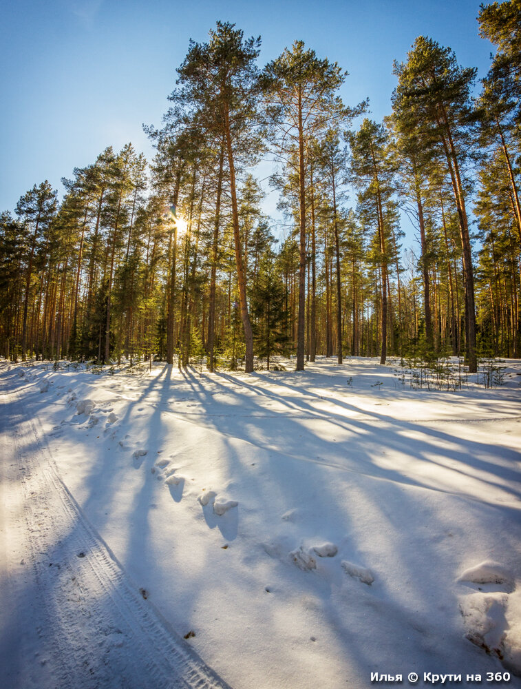 По дороге к деревне «Поповка»