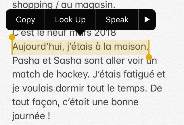 Дневник я пишу прямо в телефоне — очень удобно, что написанное сразу можно прослушать и проговорить. 