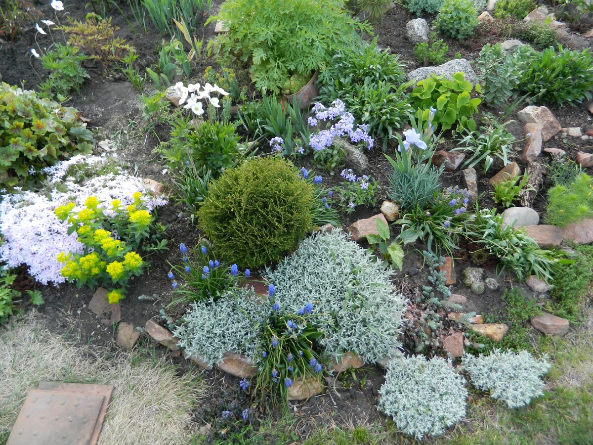 Горка в июне