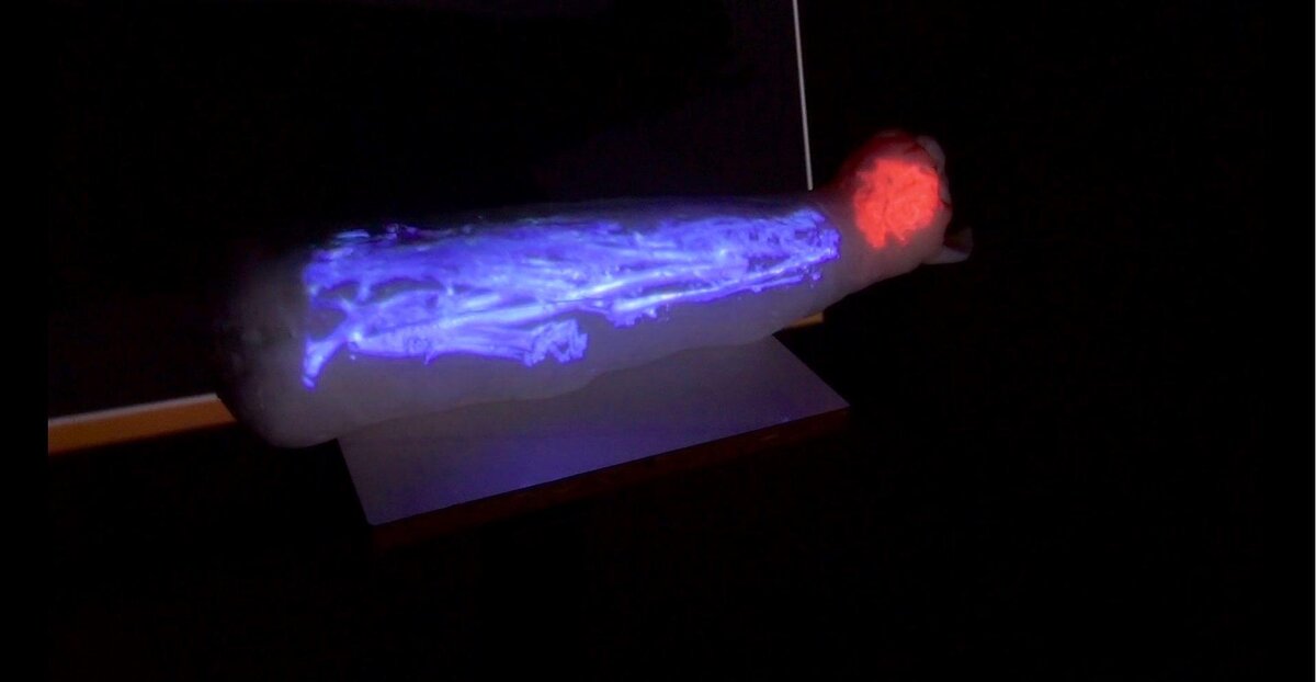 Компьютерная 3D-модель, созданная на основе рентгеновских снимков. Фото: Inrap 