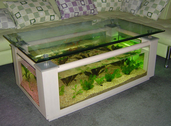 Фото из Яндекс.Картинки