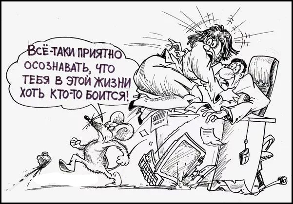 Фото из открытых источников