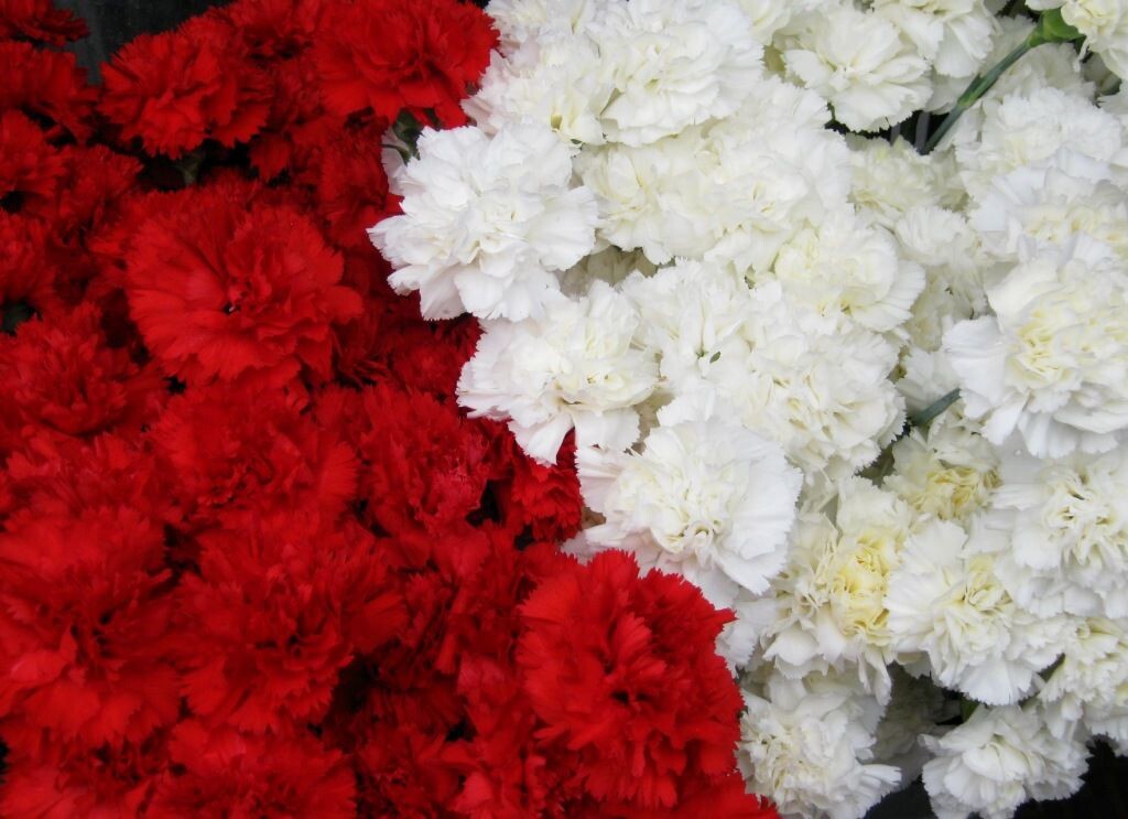 Источник: Яндекс.Картинки