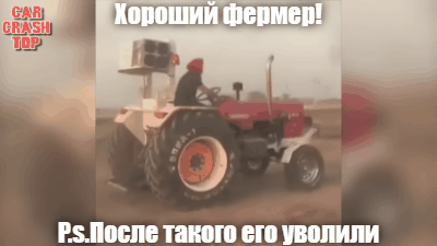 Ну а что ещё делать, если всё  и так растёт само.