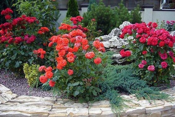  https://www.pinterest.com/pin/585679126521120739/ 