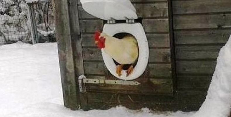 Изображение взято для примера с сайта yajco.kurica