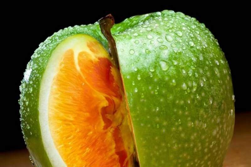 Фотография из открытых источников.