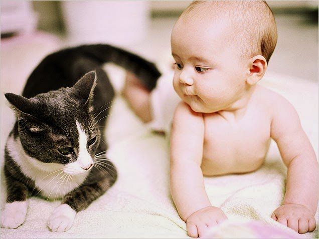 Фото взято из открытых источников 