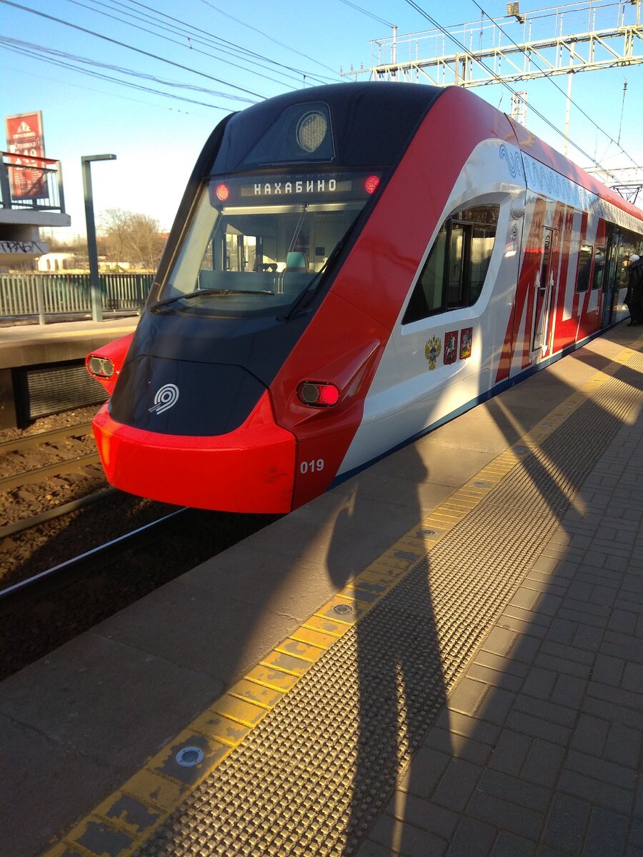 Иволга и моя тень) Фото мое