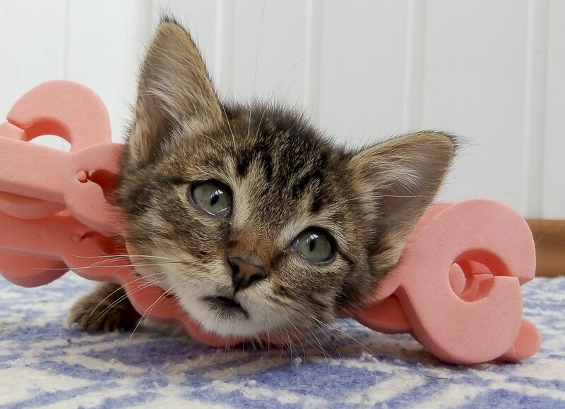 Нам сказали, что надо плавать, что б восстановить координацию