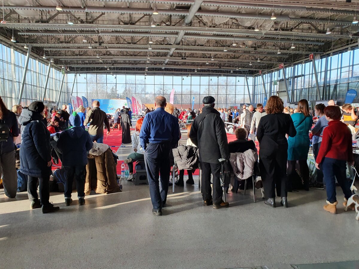 Всё смешалось собаки и люди )