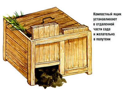 Иллюстрация для статьи используется по стандартной лицензии ©stroi-rasti.ru