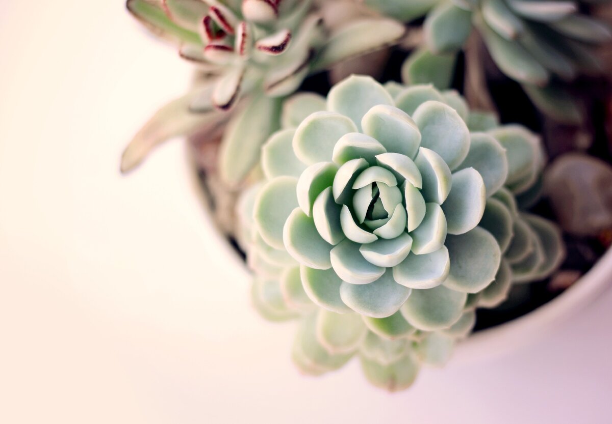 Моя инстграмная красотка