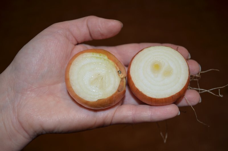 Вот такой лук сажаю на зелень.