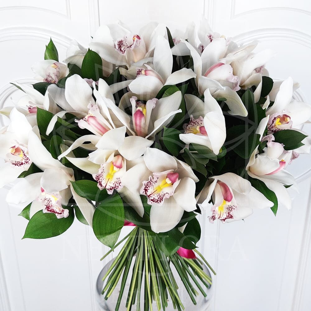 Картинка из сети Интернет