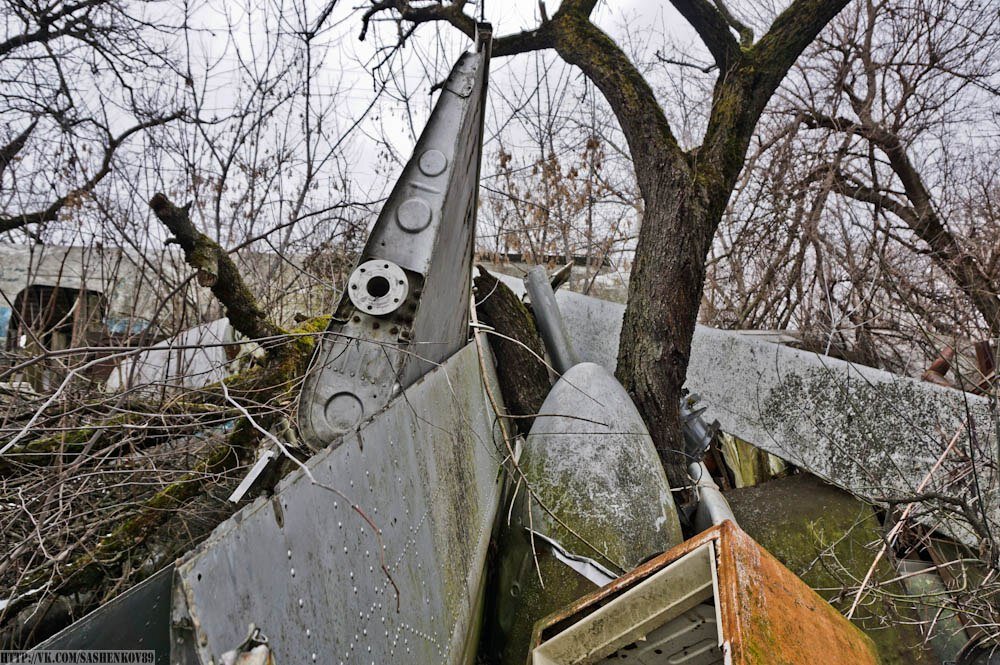 Нашли разобранный самолёт Ан-10А в простом сельском огороде!