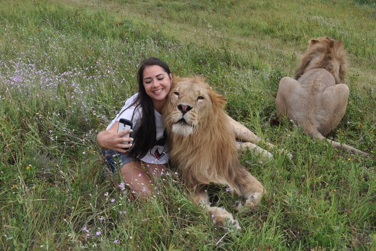 Ожившая сказка. Фотография из открытых источников 