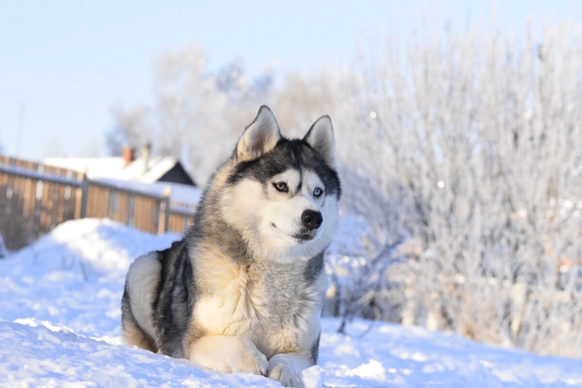 5. Тренировка