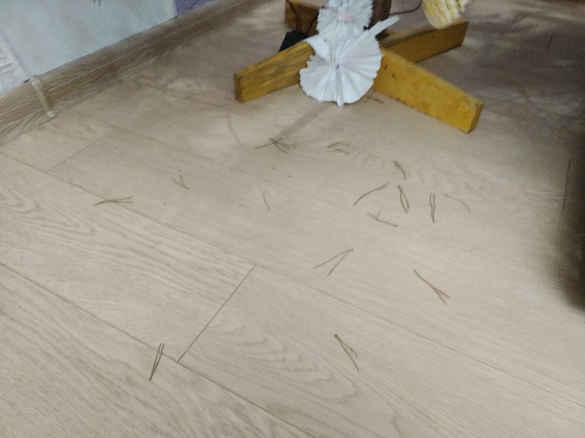 Вот такая вот картина каждый день...