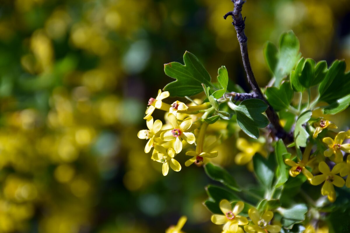 Фото из личного архива