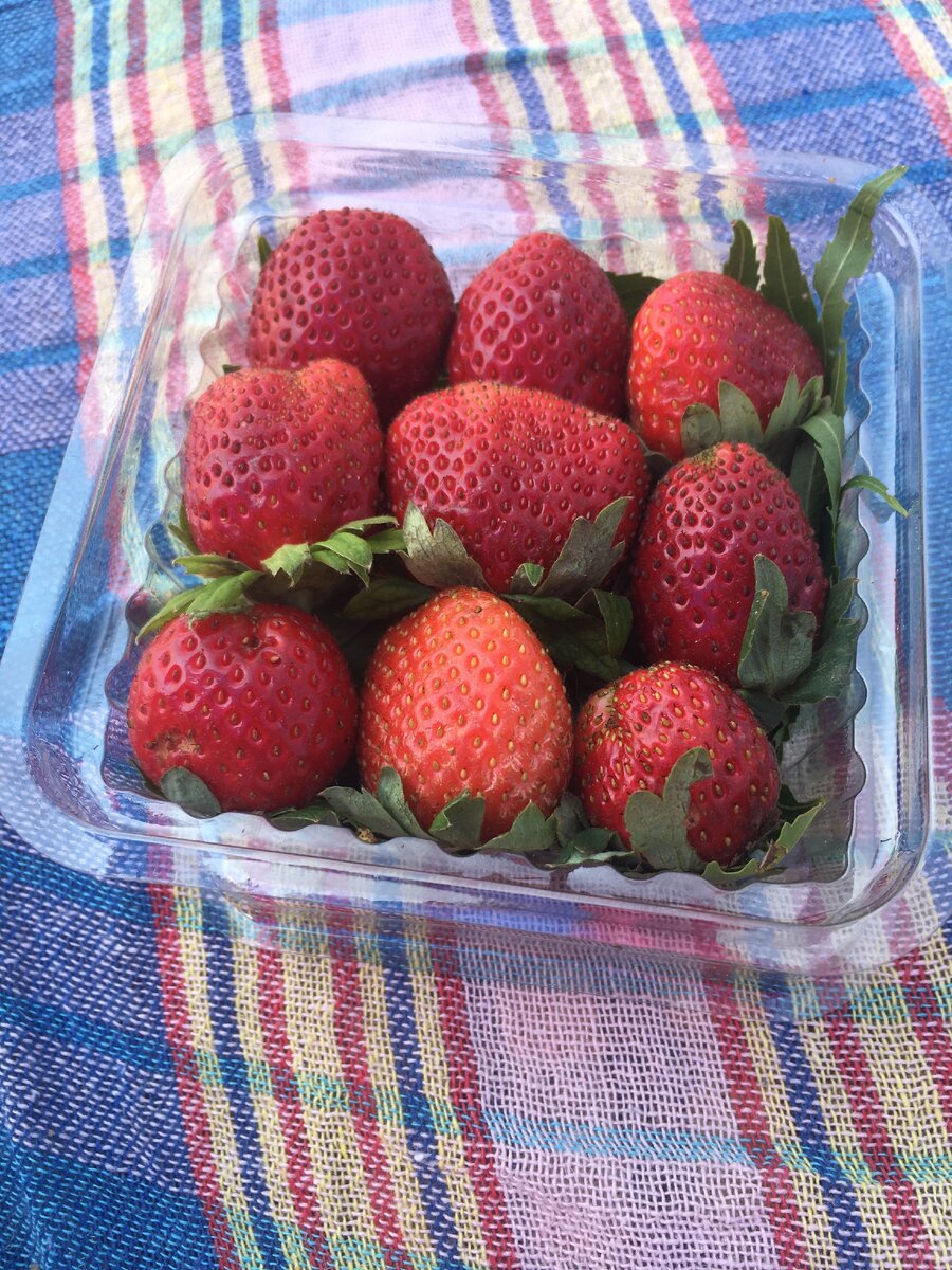 Клубничка на пляже
