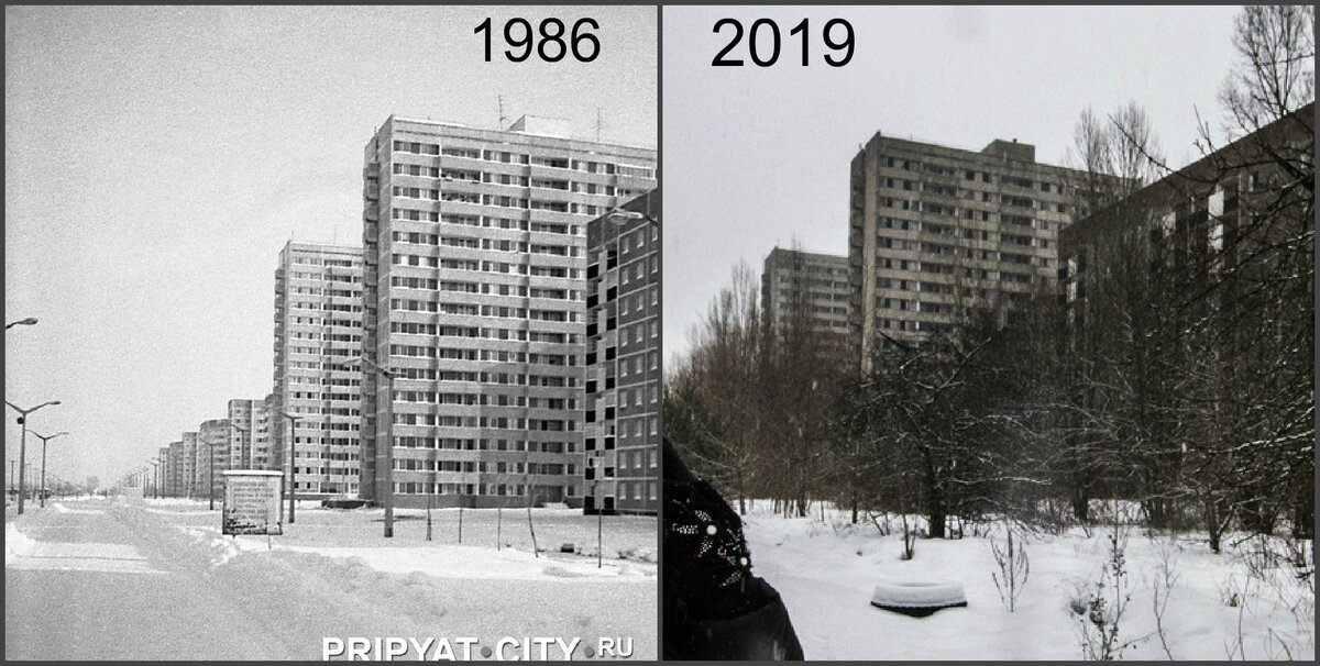 Как выглядел 1986 год