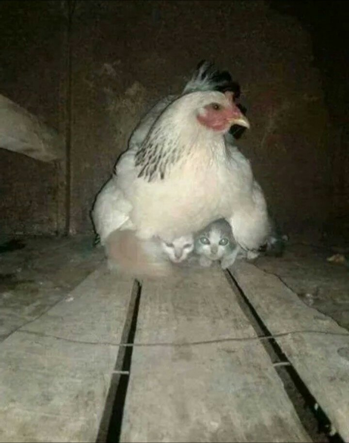 Картинка для настроения