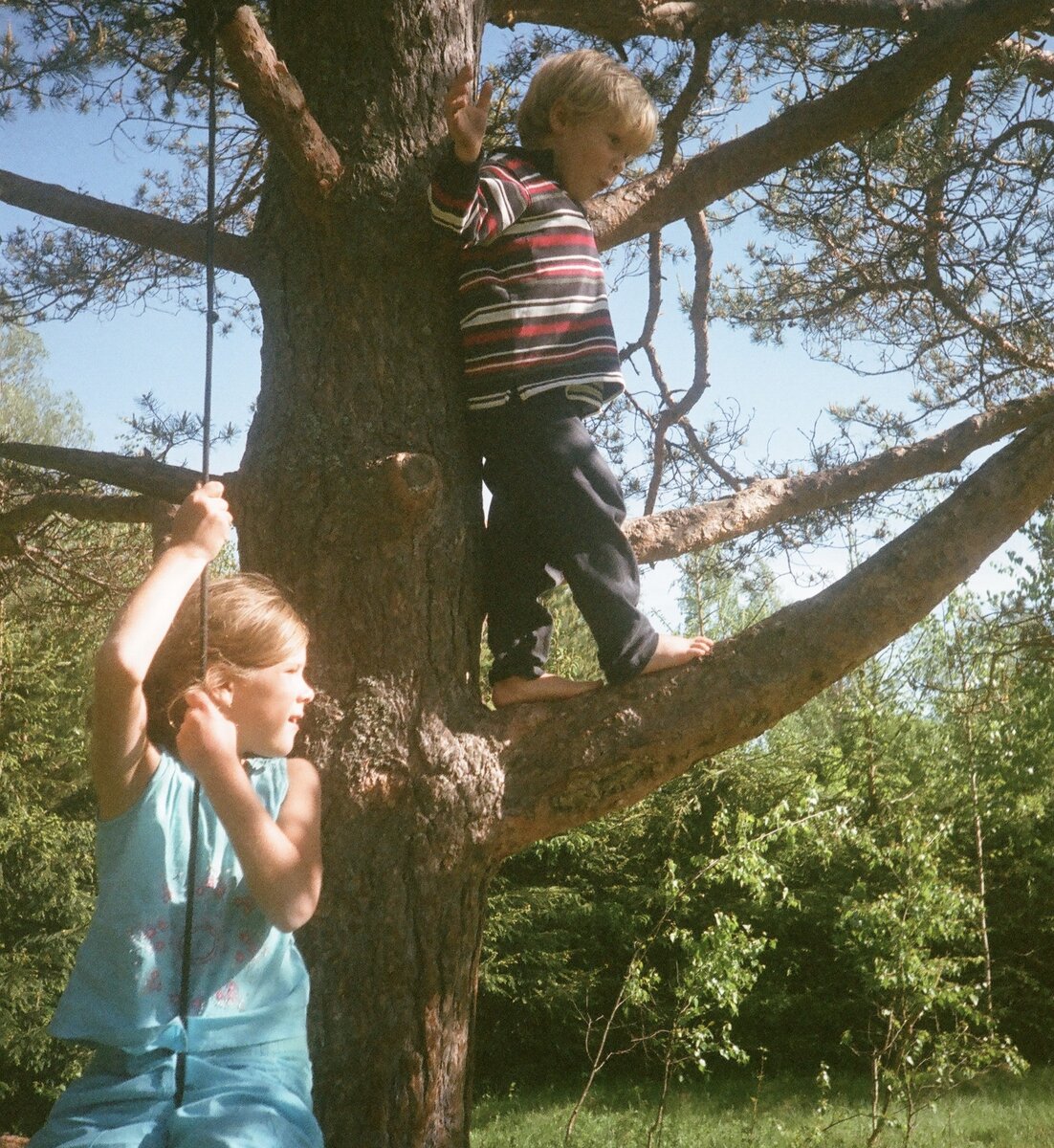 Фото из открытого источника на сайте https://unsplash.com