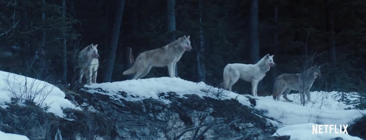 Все фото из открытых источников.