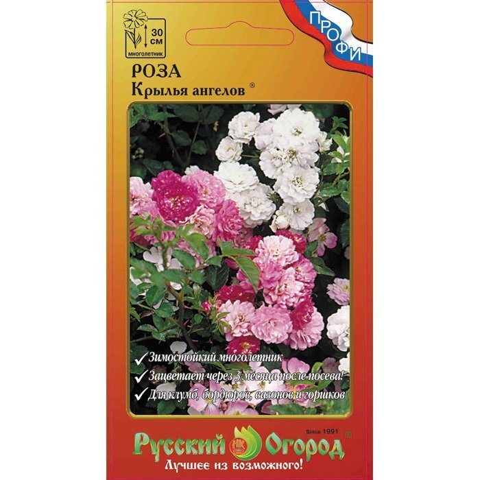 Фото Яндекс. Картинки.