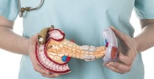 Панкреатит лечат голодом