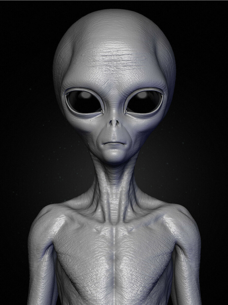 Источник:https://avatars.mds.yandex.net/get-zen_doc/61319/pub_5c83fd3cc6f2fd00b3793e82_5c83fd890fa15000b26eb4b8/scale_1200