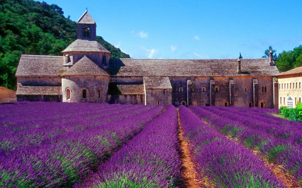 Sénanque