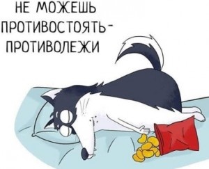 
Но ... это скорее введение в заблуждение, чтобы не искушённый читатель мог сформировать собственное мнение, наиболее его устраивающее.Однако, не всё тот перст, что указует. И не всегда выход там, откуда светят светом. Возможно это вход, или просто светят паровозом в тунеле.АкимИки это целеполагающие стимулы определяющие ход мышления.( Свернуть )
Если для человека разумного (в некотором понимании) естественно, что ход мысли формирует целеполагающие стимулы/ Если хочется кушать, а всё что попало в рот тащить не следует, то формируются некоторые рамки огрничивающих стимулов, иногда с упоминанием возможных последствий, типа народных примет, пословиц и поговорок.