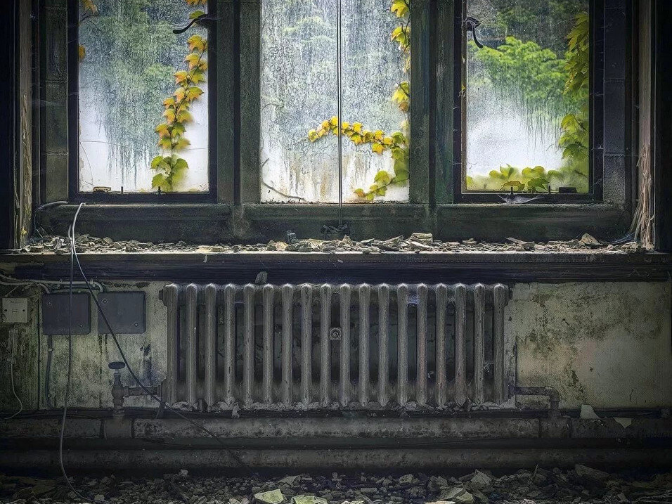 Семён Семёныч из Архангельска приобрёл квартиру. Прежние жильцы куда-то съехали и продали недорого. Радость переезда в новое жильё омрачили живущие там тараканы.-2