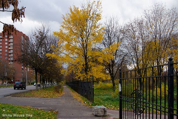 Парк в орехово зуево