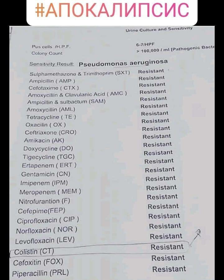 Антибиотикограмма показала резистентность в том числе и к Колистину (антибиотик «последнего шанса»).