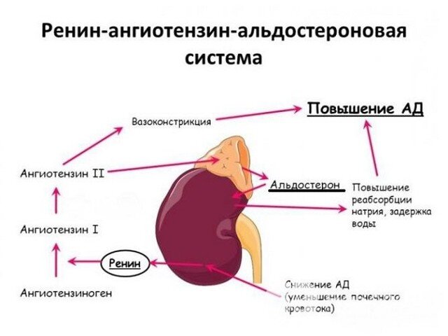 https://www.google.com/картинки