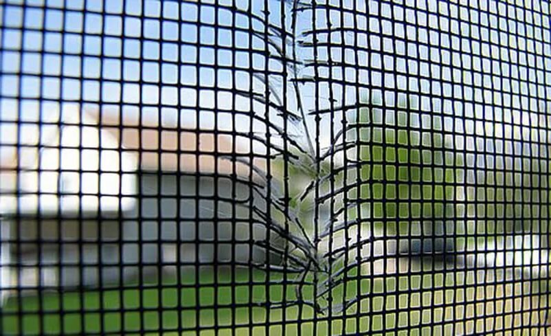 Источник изображения: сервис Яндекс Картинки