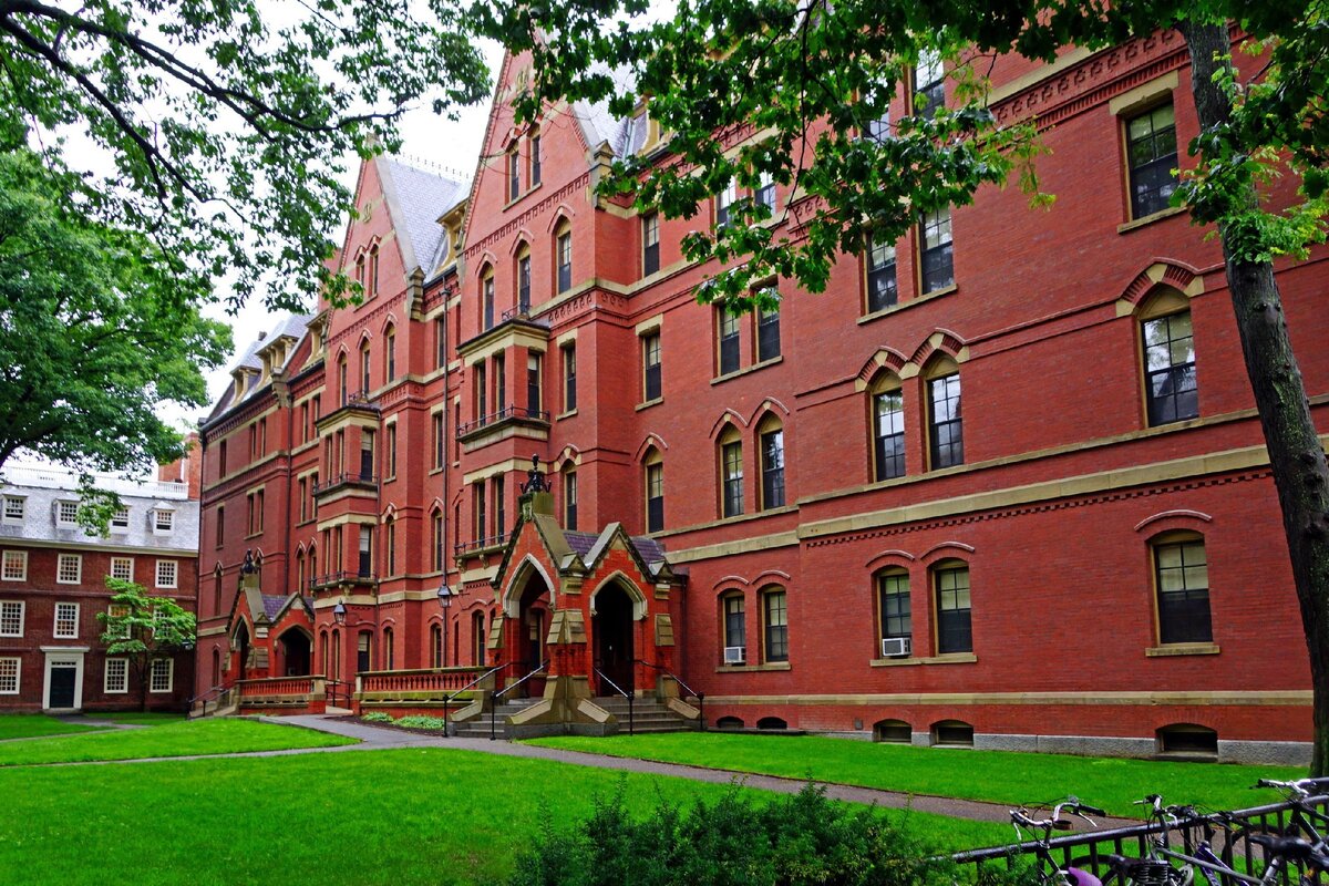 Harvard University