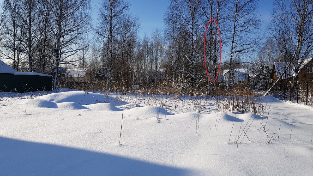 Красным контуром выделено, что было...