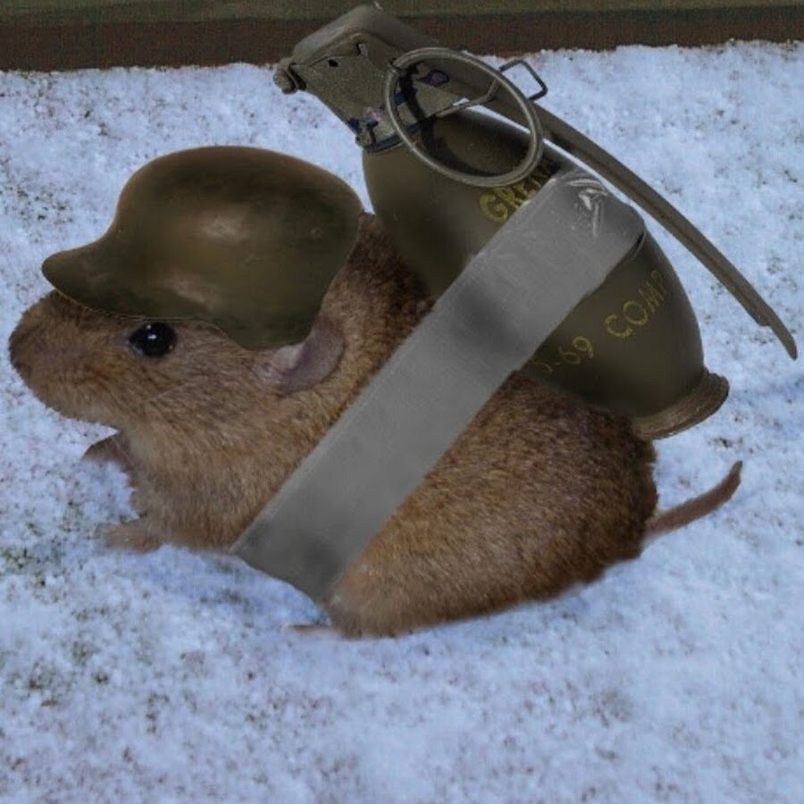 Боевой хомяк