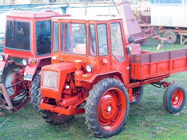 Фото из Яндекс Картинок