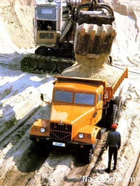 Фото из свободного доступа