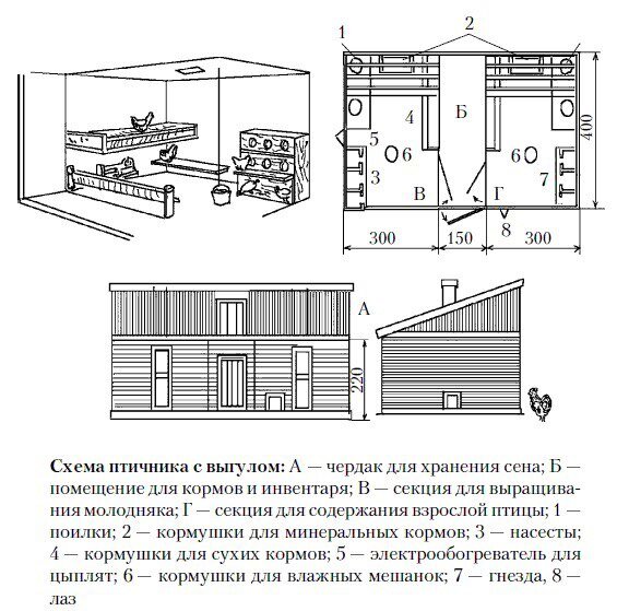 Строй дерево - Построить курятник своими руками.